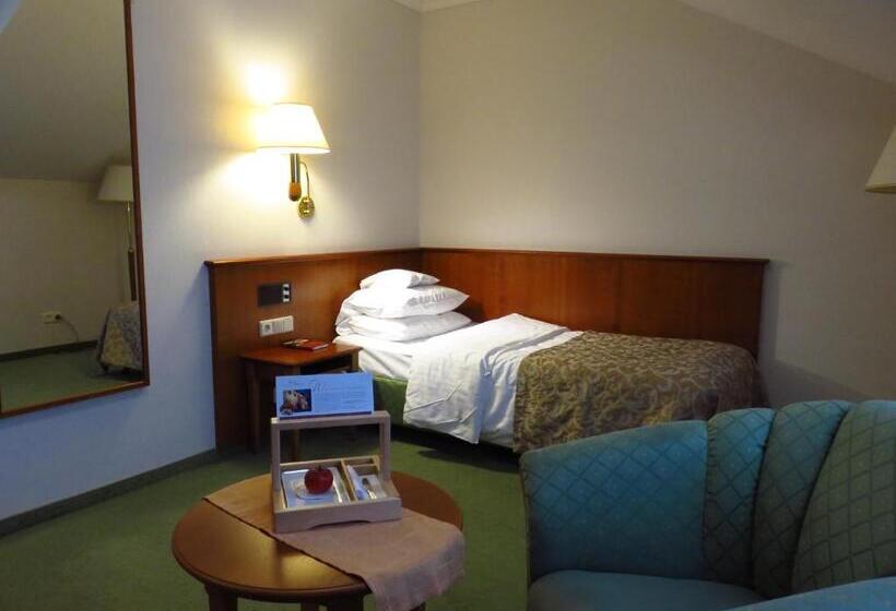 חדר קומפורט יחיד, Ringhotel Hotel Zum Stein