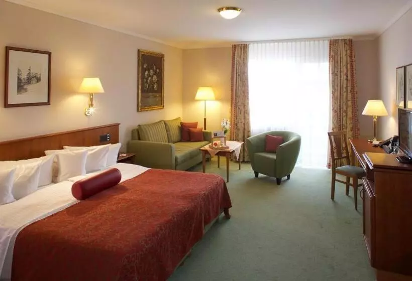 コンフォートルーム, Ringhotel Hotel Zum Stein