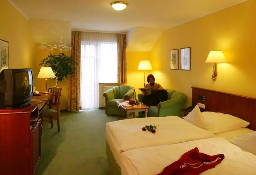 コンフォートルーム, Ringhotel Hotel Zum Stein