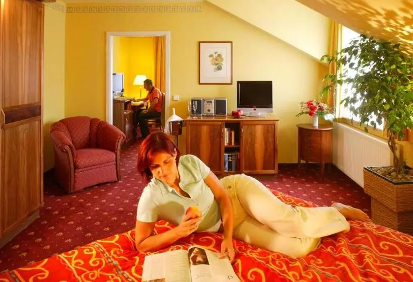 スイート, Ringhotel Hotel Zum Stein