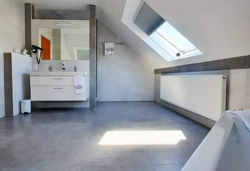 اتاق سوپریور, Taste Hotel Hockenheim