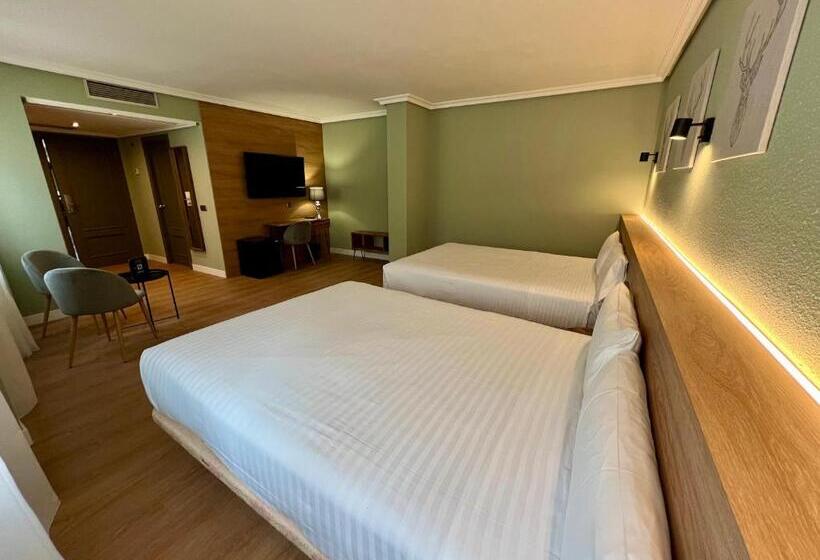 اتاق لوکس چهار تخته, YOMO Imperial