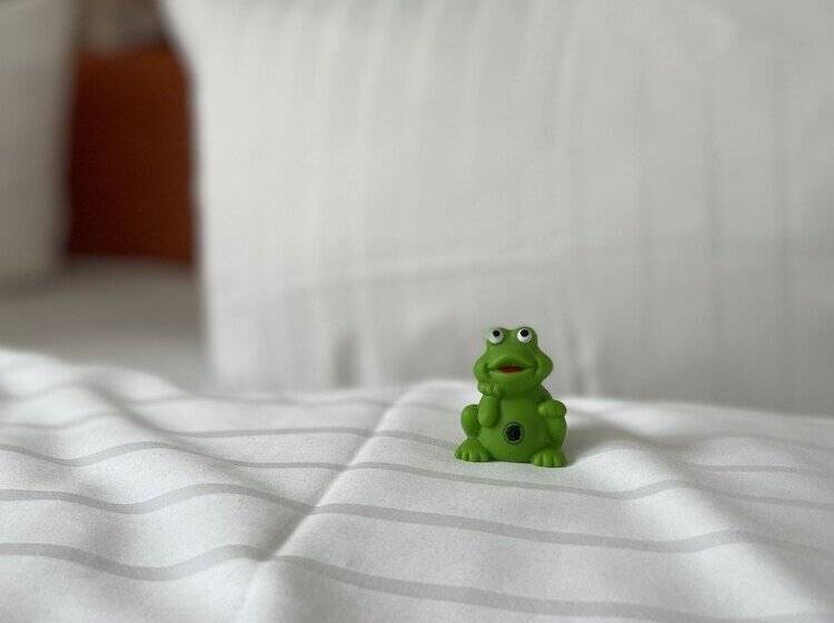 Номер Deluxe, Alexander Am Zoo