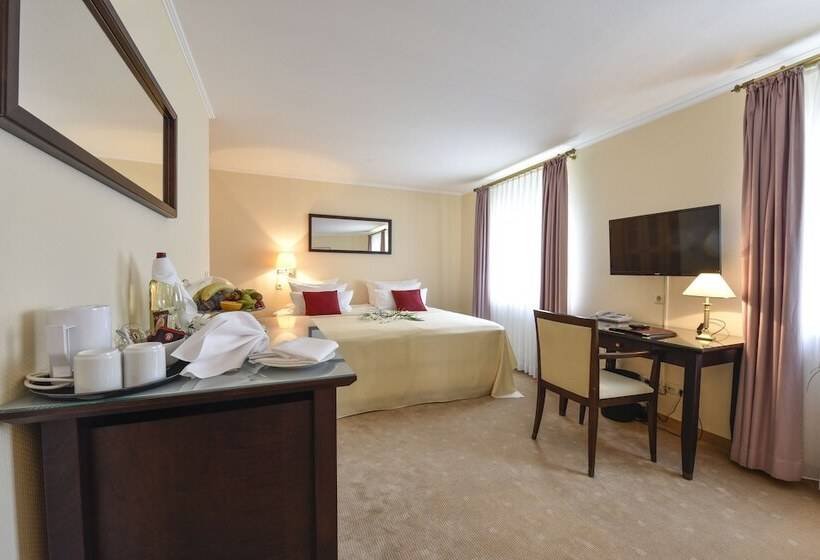 수피리어 룸, Atrium Hotel Amadeus
