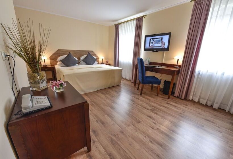 غرفة سوبيريور, Atrium Hotel Amadeus