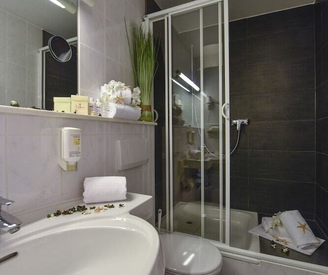 غرفة قياسية, Atrium Hotel Amadeus