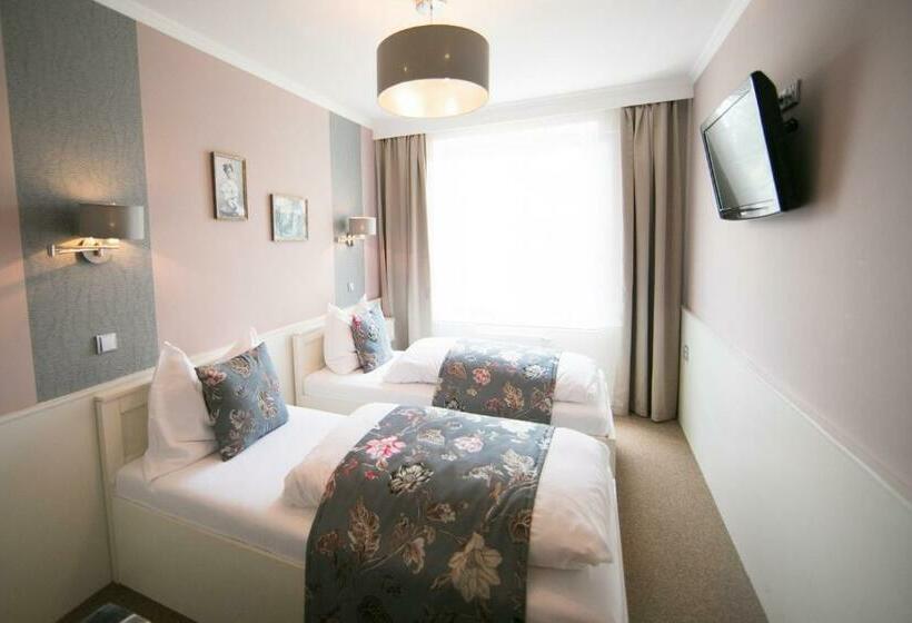 ベーシックルーム, Golfi