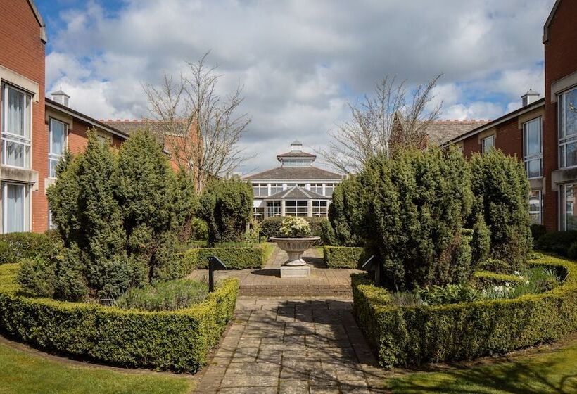 Номер Стандарт, Hilton Northampton