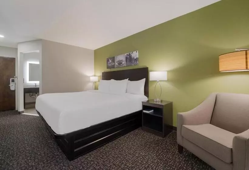 Standard-huone King-vuode, Sleep Inn