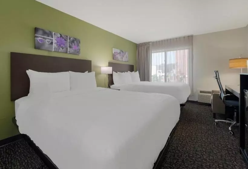 Standard-huone, Sleep Inn
