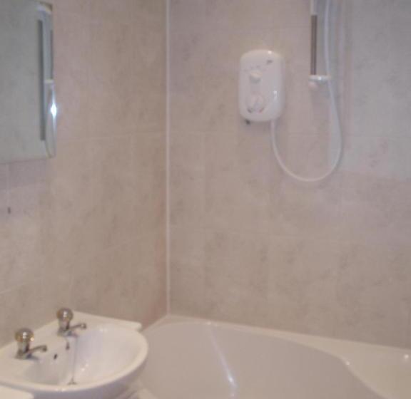 Полулюкс, Ty Croeso Boutique B&b