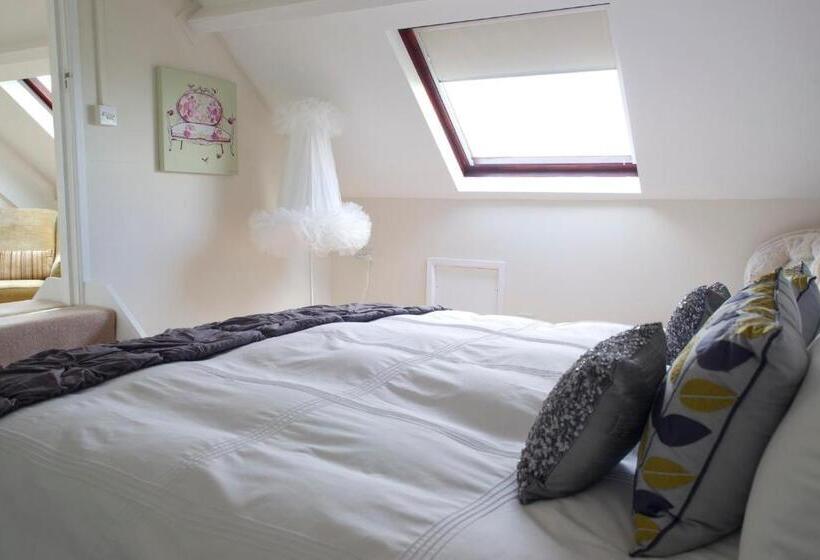 Люкс Мастер, Ty Croeso Boutique B&b