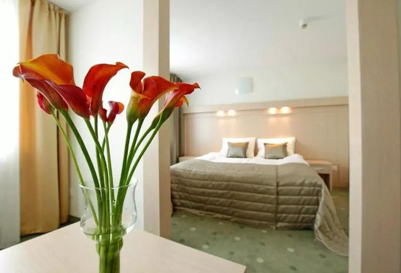 Standard-huone, Cieplice Medi & Spa