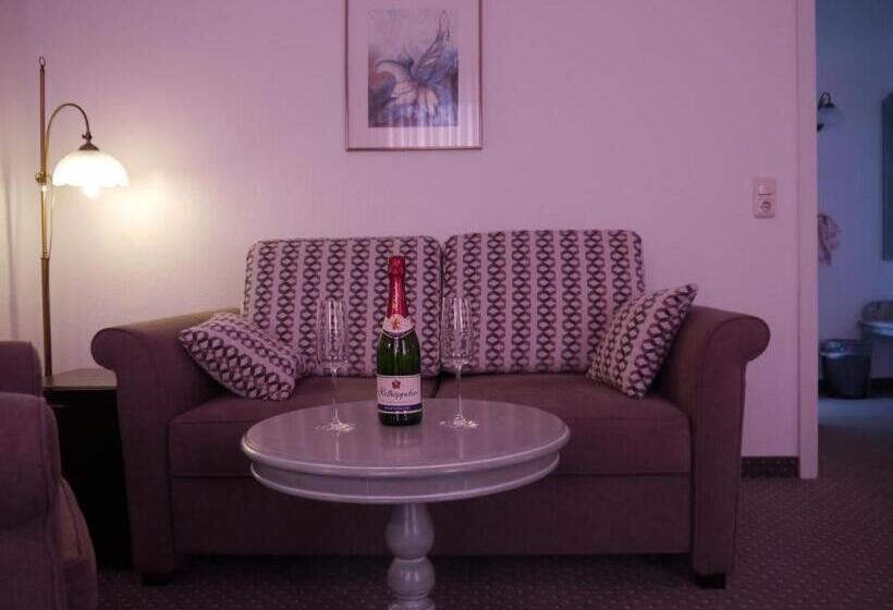 اتاق لوکس, Esplanade Garni