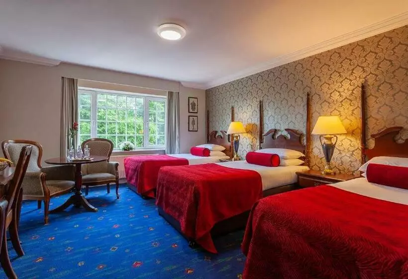 Standard Kolmen Hengen Huone, Killarney Randles