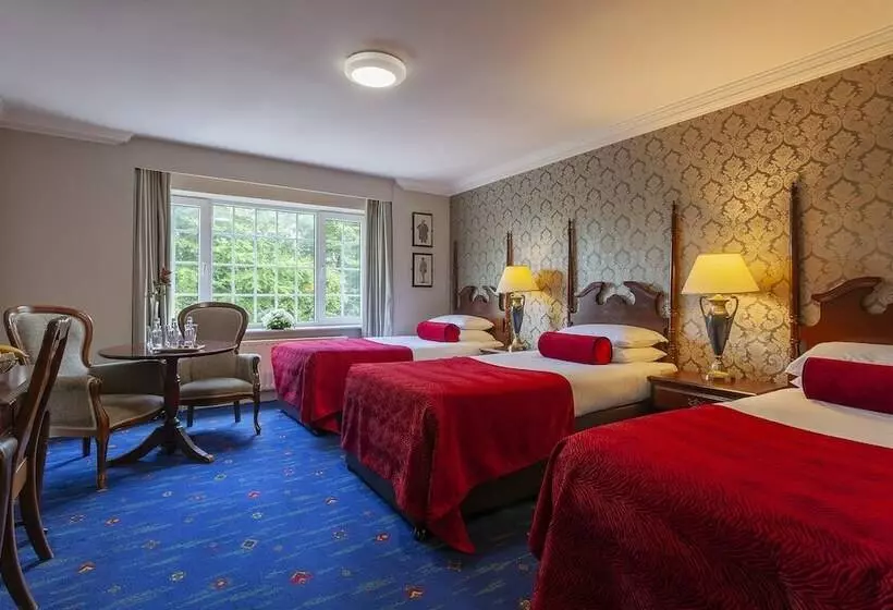 Standard Kolmen Hengen Huone, Killarney Randles