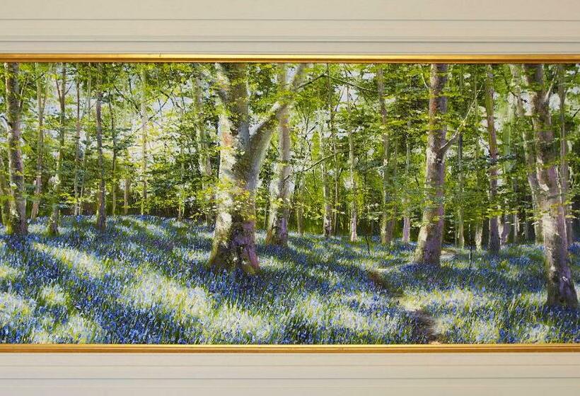 스탠다드 룸, Killarney Randles