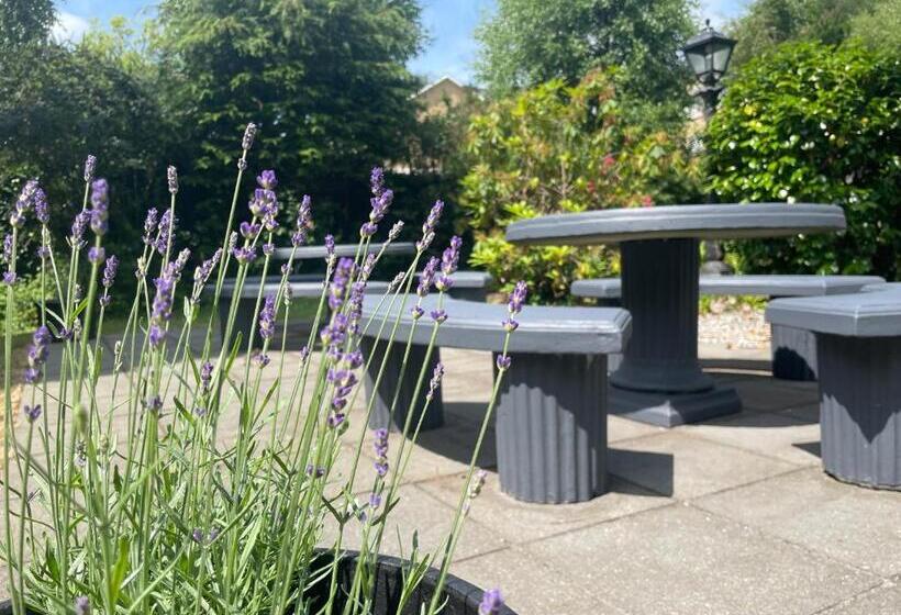 스탠다드 룸 킹사이즈 침대, Killarney Randles