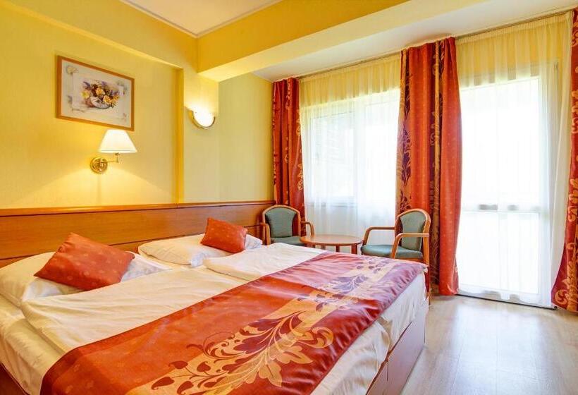 스탠다드 발코니 룸, Panoráma