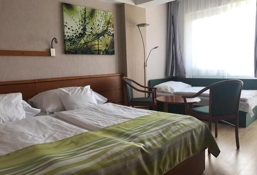 스탠다드 트리플 룸, Panoráma