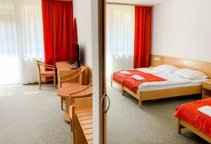 バルコニー付きスタンダードトリプルルーム, Park Hotel Sóstó