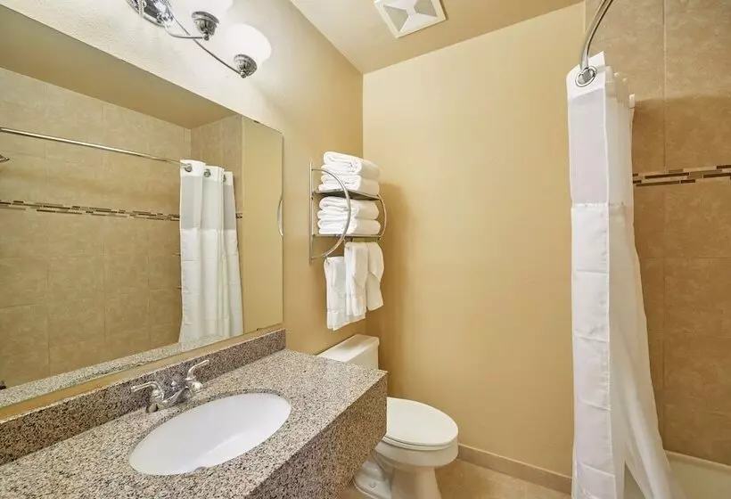 ２ダブルベッドのスタンダードルーム, Radisson Hotel El Paso Airport