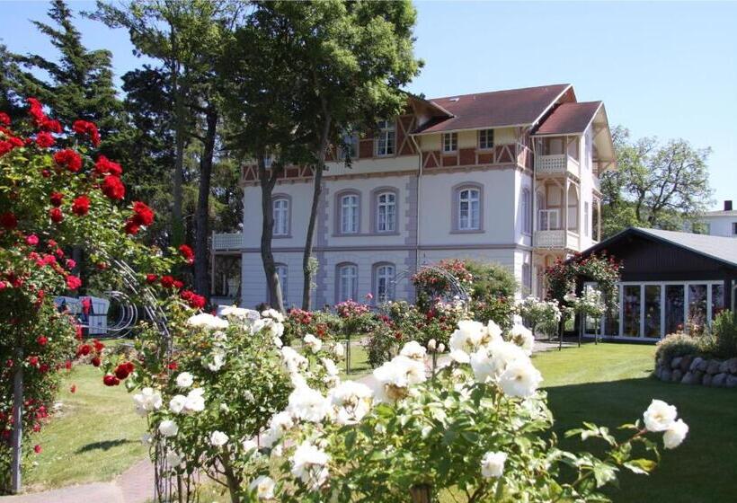 컴포트 룸 바다 전망, Akzent Waldhotel Spa Rügen