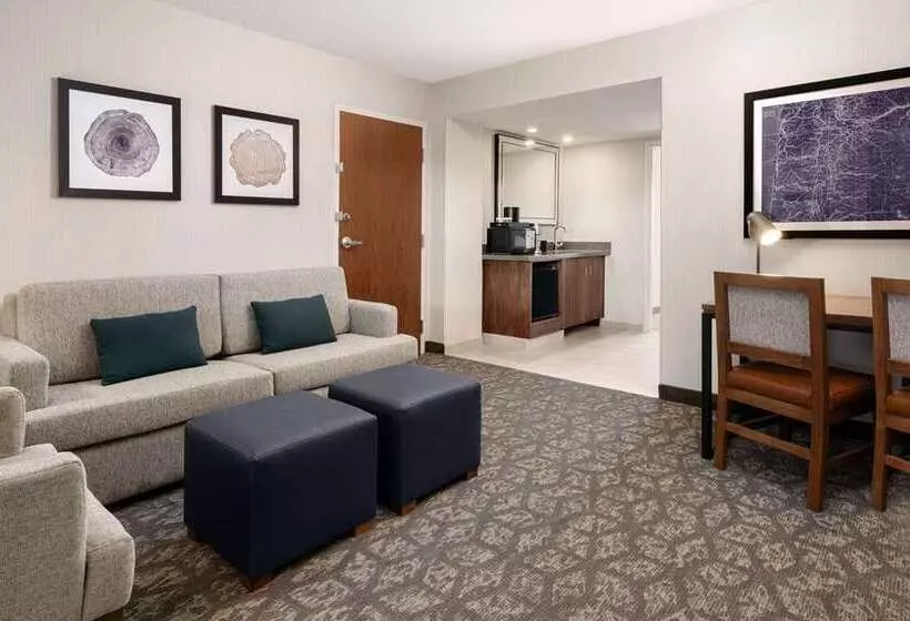 سوییت, Embassy Suites Hotel Des Moines Downtown