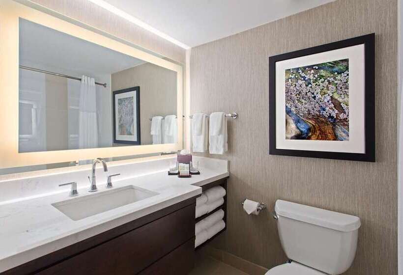 스위트, Embassy Suites Hotel Des Moines Downtown