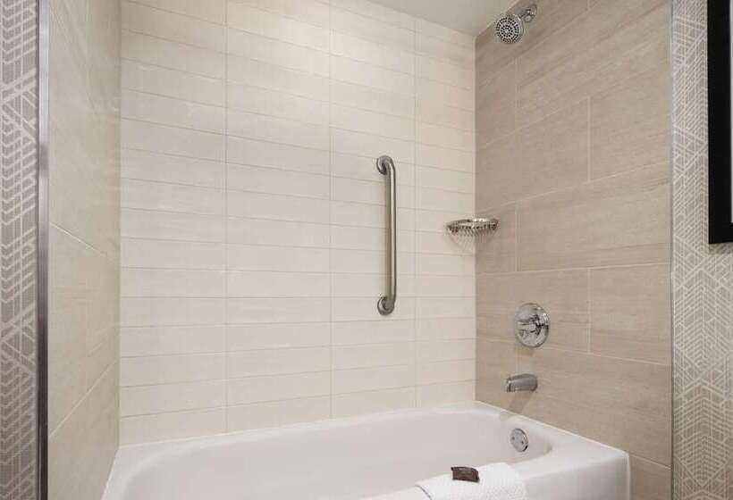 스위트 킹사이즈 침대, Embassy Suites Hotel Des Moines Downtown
