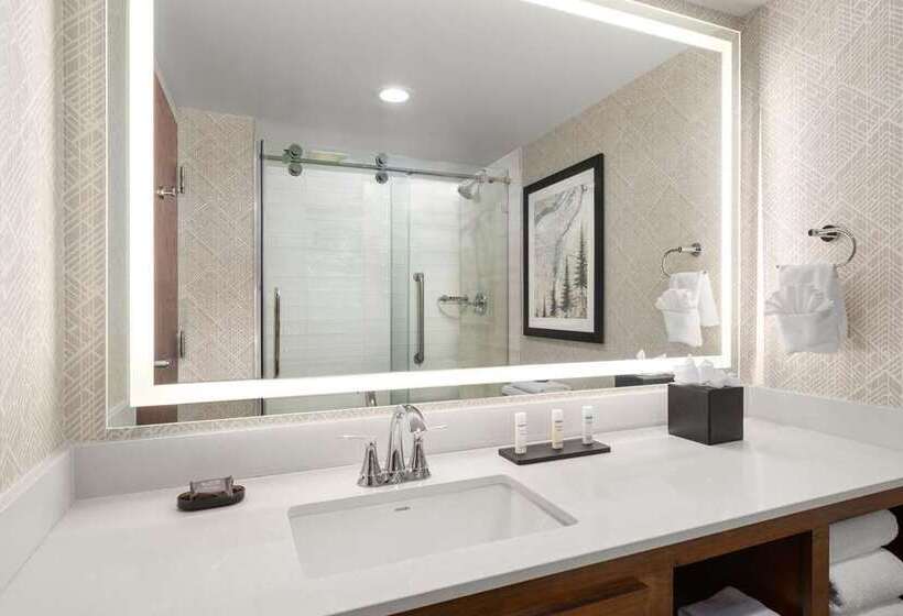 스위트, Embassy Suites Hotel Des Moines Downtown