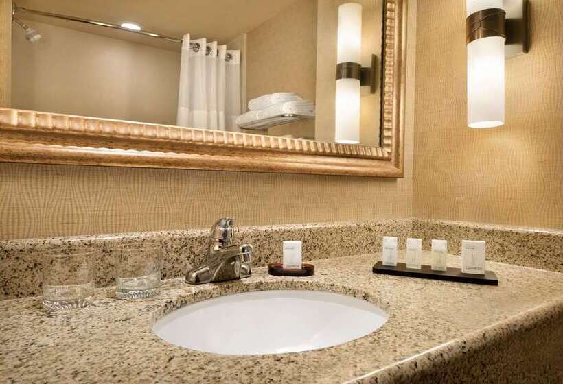 סוויטה, Embassy Suites Hotel Des Moines Downtown