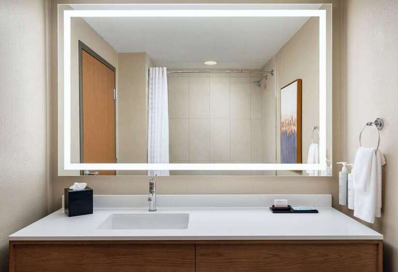 스위트 킹사이즈 침대, Embassy Suites Hotel Des Moines Downtown