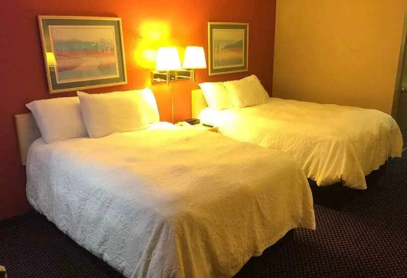 ２ダブルベッドのスタンダードルーム, Americas Best Value Inn Garden City