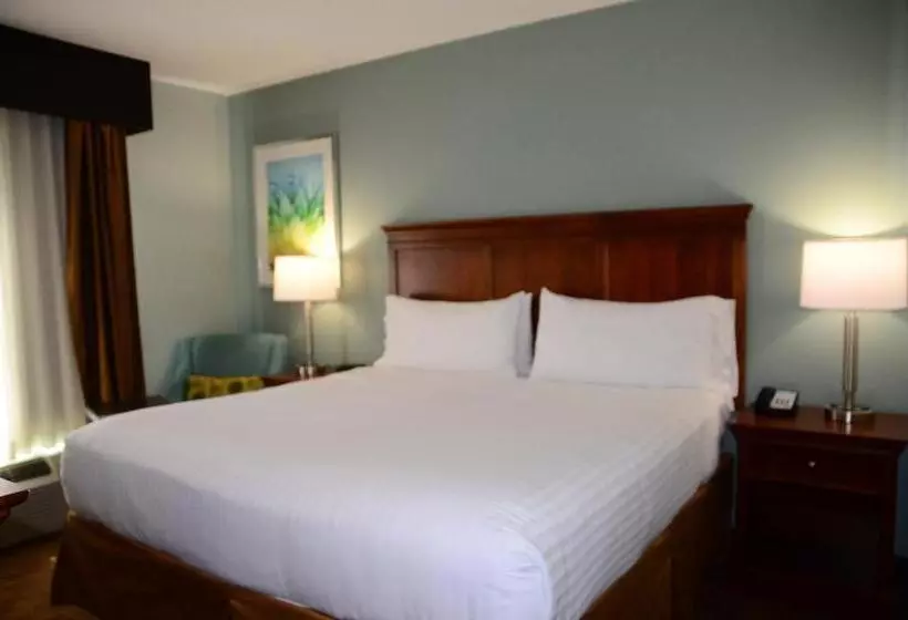 キングサイズベッドのスタンダードルーム, Baymont Inn & Suites Braselton