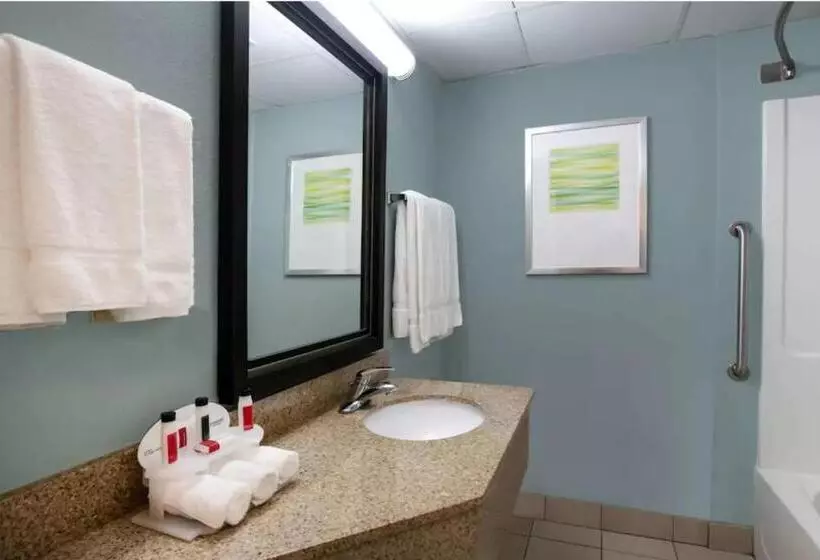 キングサイズベッドのスタンダードルーム, Baymont Inn & Suites Braselton