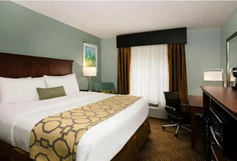 キングサイズベッドのスタンダードルーム, Baymont Inn & Suites Braselton