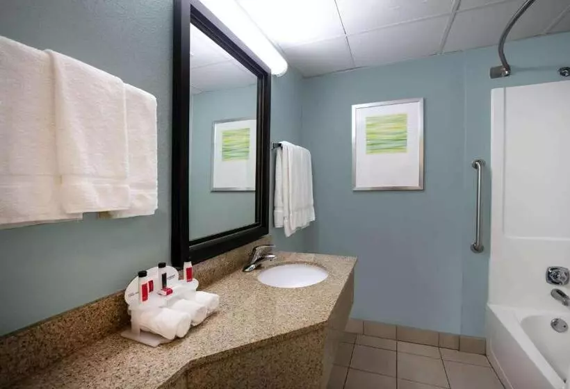 キングサイズベッドのスイートルーム, Baymont Inn & Suites Braselton