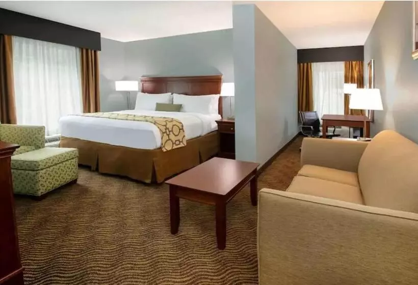 キングサイズベッドのスイートルーム, Baymont Inn & Suites Braselton