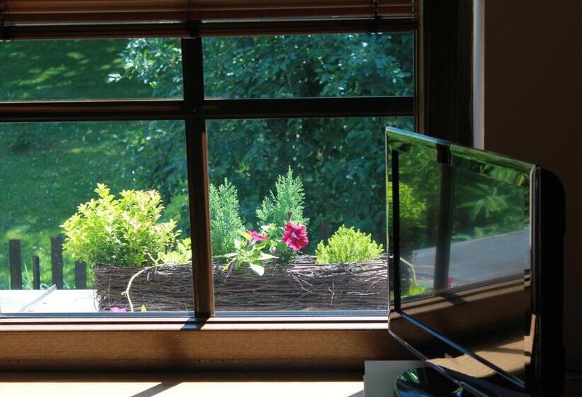 Номер Стандарт Индивидуальный, Bonato