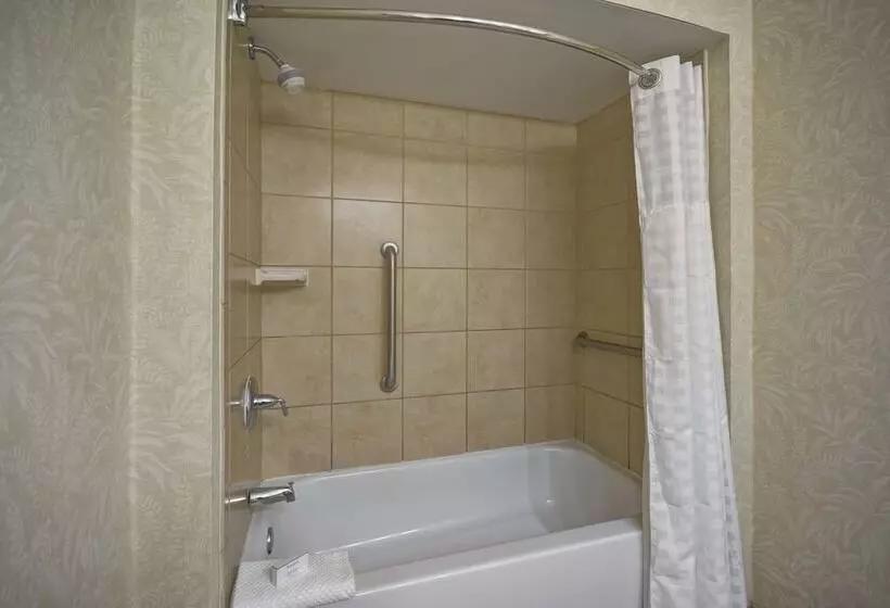 スイート, Embassy Suites By Hilton Charleston Historic District