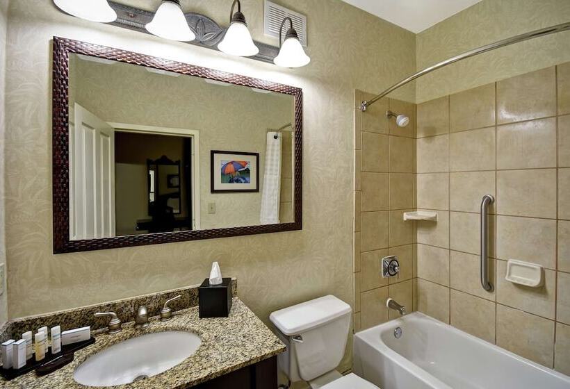 جناح, Embassy Suites By Hilton Charleston Historic District