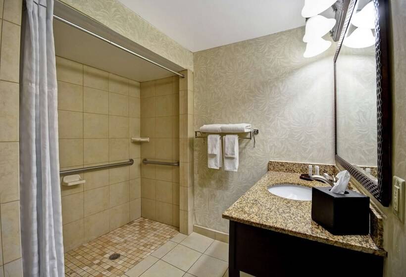 جناح لذوى الاحتياجات الخاصة, Embassy Suites By Hilton Charleston Historic District
