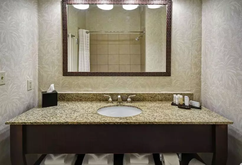 身障者適用スイートルーム, Embassy Suites By Hilton Charleston Historic District