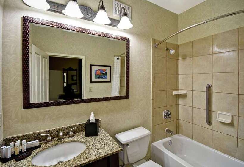 جناح, Embassy Suites By Hilton Charleston Historic District