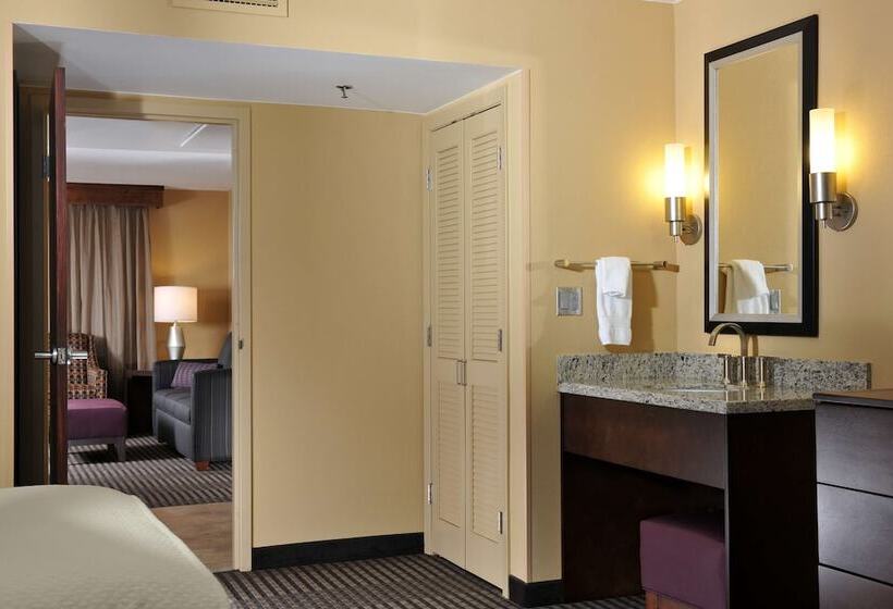 סוויטה, Embassy Suites Hotel Des Moines Downtown