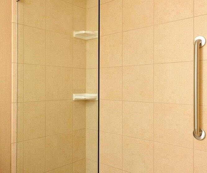 סוויטת פרמיום, Embassy Suites Hotel Des Moines Downtown