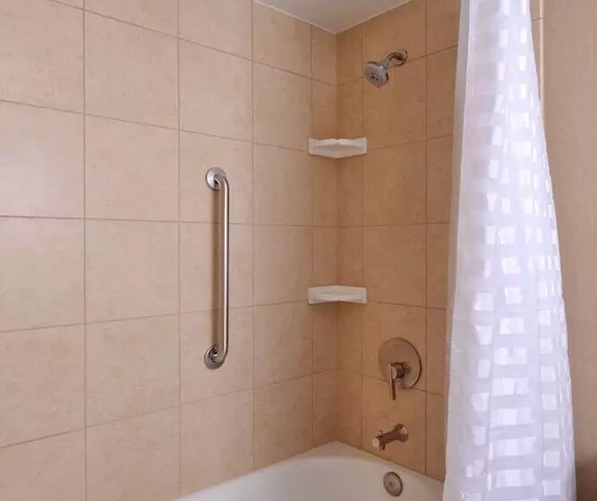 سوئیت پریمیوم, Embassy Suites Hotel Des Moines Downtown