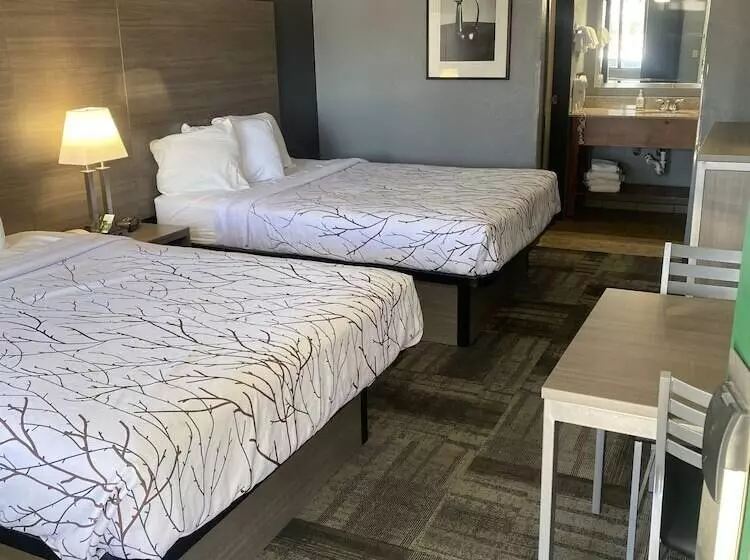 デラックスルーム, Greentree Inn Prescott Valley