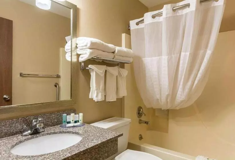 ２ダブルベッドのスタンダードルーム, Quality Inn I 74 Batesville
